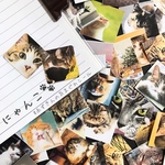 【再販】－にゃんこ－  赤ずきんの気まぐれシール(40枚入り)