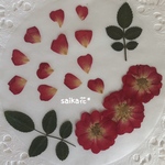 再販×1❤︎ばら＊花びら＊押し花