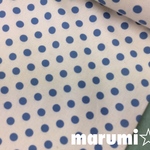 110×50★シーチング★ドット柄★水色