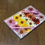 お花屋さんが作った本日のドライフラワーはジニアです！  ③