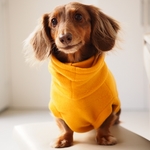 犬服　ダックスちゃんのハイネックタンクトップ　マスタード
