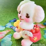 トイプードルのお散歩日和♪