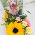 送料無料★ソープフラワー＊アニマルフォトアレンジ Animal Photo Frame＊ひまわり　キリンイエロー