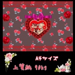 A4*レトロねこちゃんと薔薇