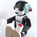 ※受注生産 ロボホン 耳飾り 水引製【りんご】