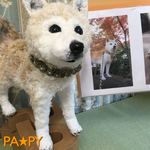 オーダーメイド　小町ちゃん♪　あみぐるみ