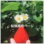 鮎様専用ページ✿ᵕ̈*
