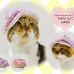 猫 帽子 ペット用のキャスケット♬パステルドット