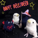 ミイラさん【ハロウィンバードシリーズ】