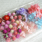 再販【2019年産・花材セット・全8種】千日紅✧ヘリクリサム✧スターチス（ドライ） ＋ 紫陽花とソフトかすみ草など（プリザ）