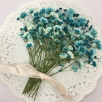NO.13 2回目の再販✨かすみ草 スカイブルー／押し花素材