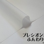【定番人気】112×50cm｜プレシオン芯｜布接着芯｜ふんわり｜初心者さんにも｜白｜ホームクラフト｜薄手生地に