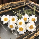 茎付き花かんざし10輪❣️ハーバリウム花材ドライフラワー
