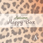 【A】 Happy Box