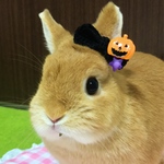 ハロウィン🎃もみみリボン🎀(ぷっくり)