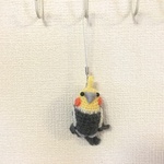 ちっちゃシリーズ❤️ほっぺが可愛いオカメインコちゃん（ノーマル）