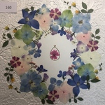 ☆押し花素材160 優しいお花セット☆