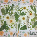 ♡new♡ 送料無料！¥1130 ♡たっぷり押し花セット♡