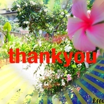 専用ページ