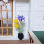 観葉植物  G
