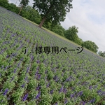 無限大∞モチーフのフリーリング