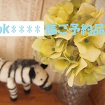 mok＊＊＊様ご予約品＊