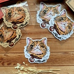 Fresh Cat お顔シール（2枚入り）