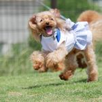 naさま専用欄