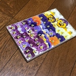 お花屋さんが作った本日のドライフラワーはビオラです！   ③
