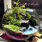 okeihan様オーダー 専用ページ