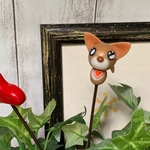 ウルウル瞳のチワワ