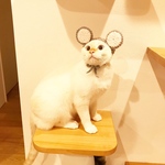 2020 なりきり ねずみ
