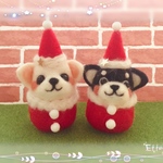もちもち❤️チワワちゃんサンタクロース❤️