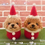 もちふわ❤️トイプードルちゃんサンタクロース❤️