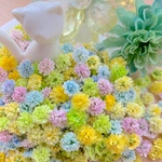かすみ草ドライフラワー