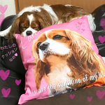 うちの子 おしゃれ 犬クッション│オーダーメイド│インテリア│写真│ペット