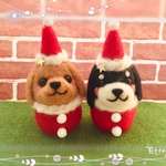 ころふわっ❤️ダックスちゃんサンタクロース❤️