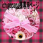 ichigopapa様専用ページ