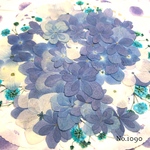 ♡new♡ 送料無料！¥1050 ♡たっぷり押し花セット♡