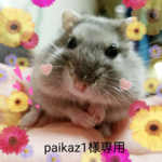 送料無料 paikaz1様専用アクセサリー