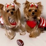 ラグビー応援リボン🏉