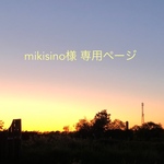 mikisino様 専用ページ