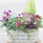 ꫛꫀꪝ✧‧˚1点もの❁✿✾  ビオラとコニファーのcuteな寄せ植え