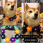 Y様専用★2点おまとめ