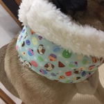 パグ柄スヌード　ミント