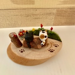 トンボとねこ