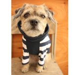 犬服 クシュクシュ タートル 紺× 紺ボーダーの長袖　