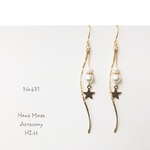 pierce/earring.671