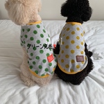 再販❣️🌼ドットのラグラン半袖Ｔシャツ