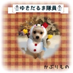 (受注製作)⛄️ゆきだるま隊員ちゃん⛄️